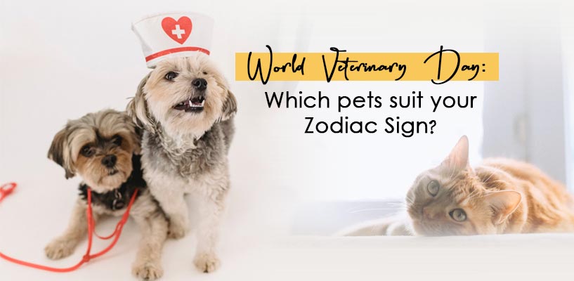 Best pets for your Zodiac sign