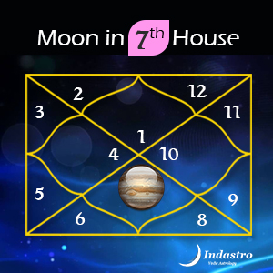 7th house in vedic astrology chart