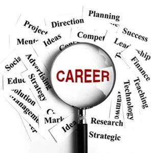 2025 Career report